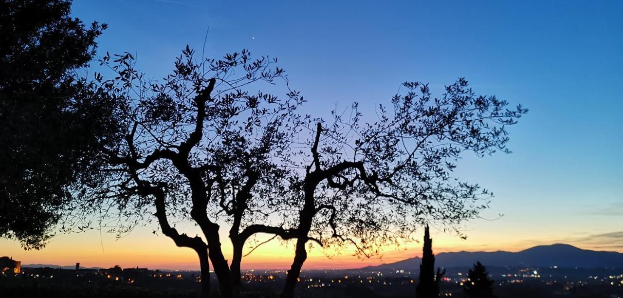 Agriturismo Cascina Cipressa San Romano  外观 照片