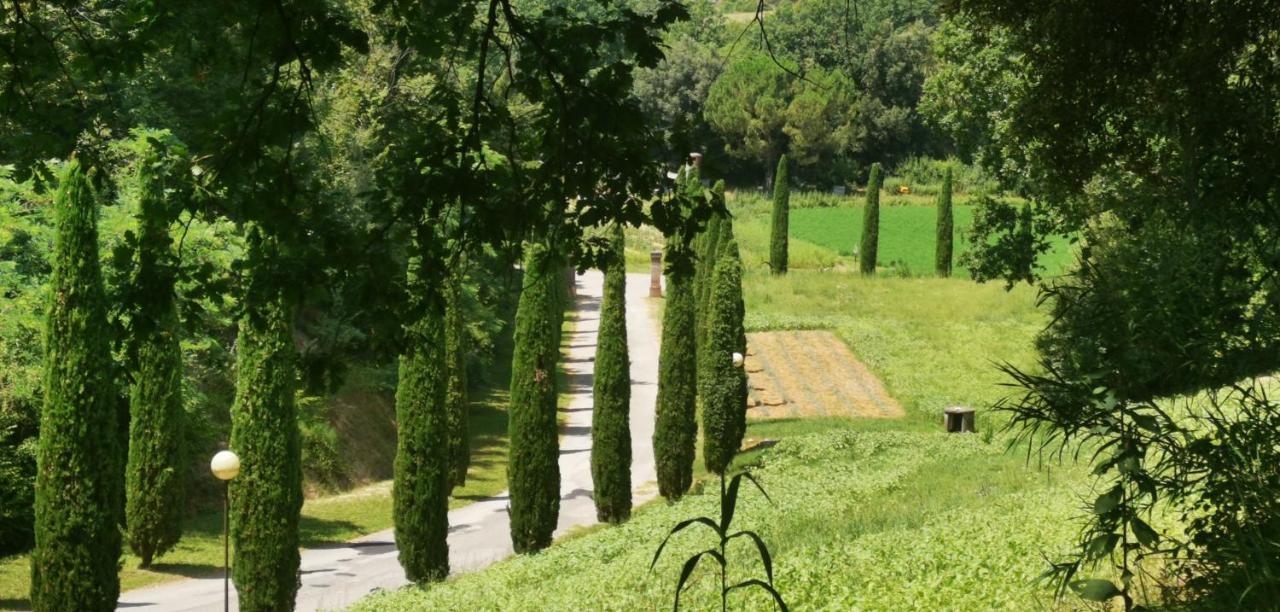 Agriturismo Cascina Cipressa San Romano  外观 照片