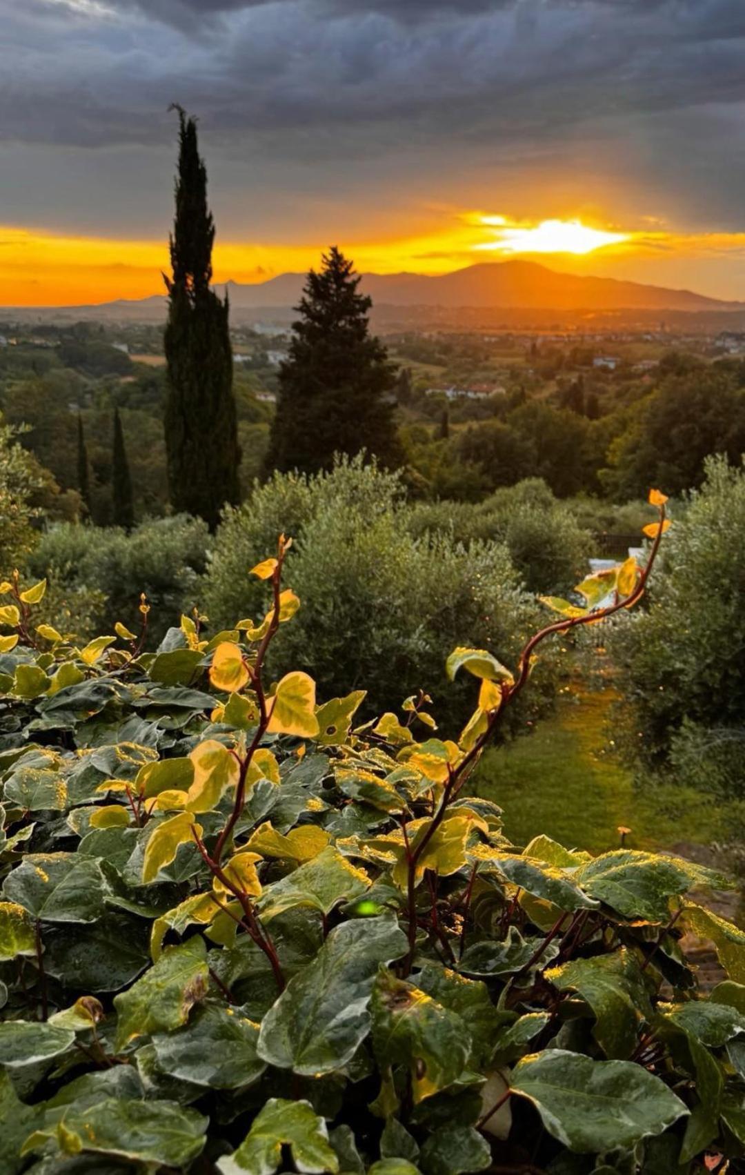 Agriturismo Cascina Cipressa San Romano  外观 照片
