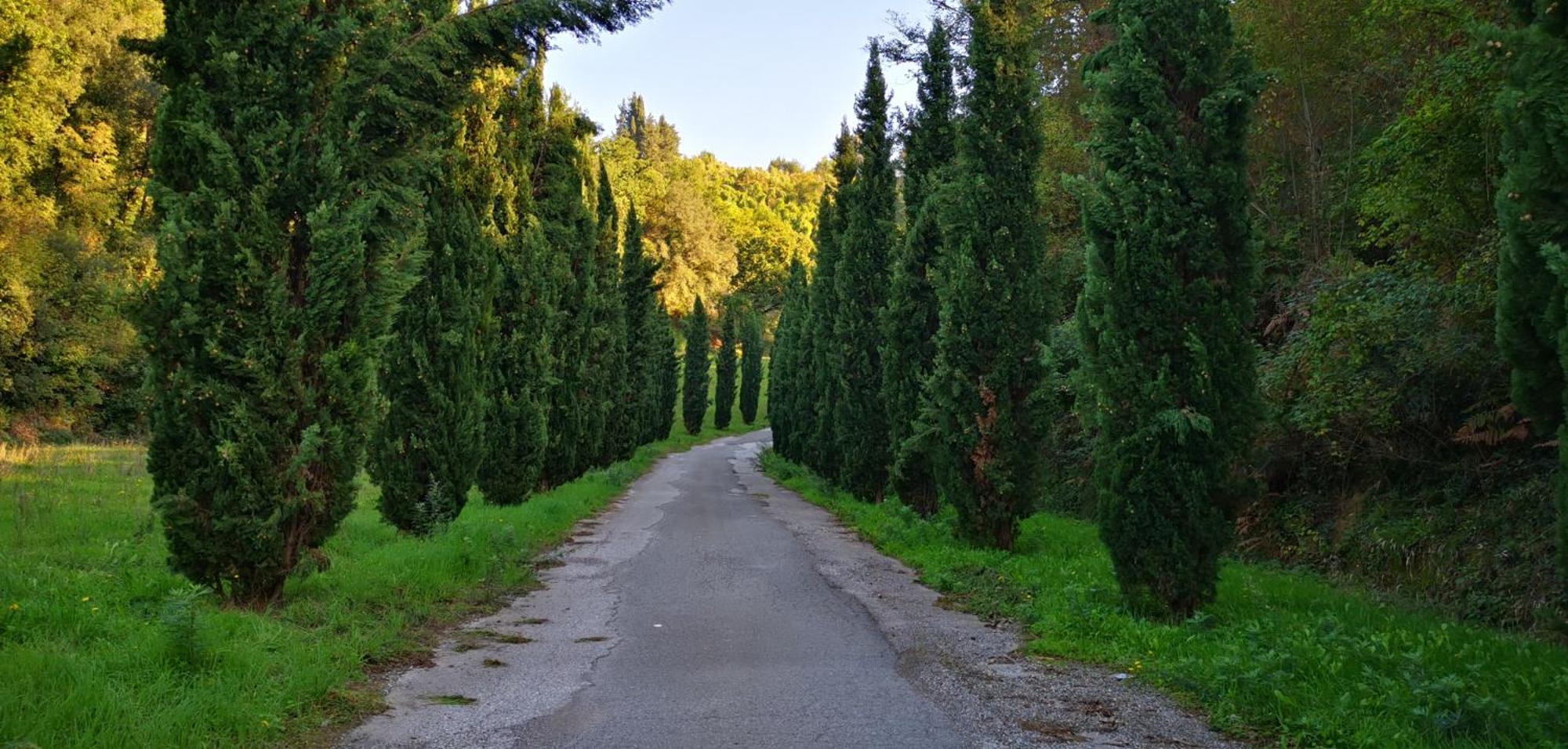 Agriturismo Cascina Cipressa San Romano  外观 照片